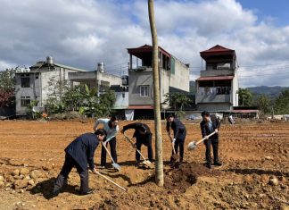 Công ty Cổ phần Môi trường Đô thị tỉnh Lào Cai hướng ứng Tết trồng cây Xuân Nhâm Dần năm 2022